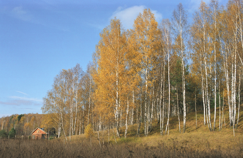 Осень